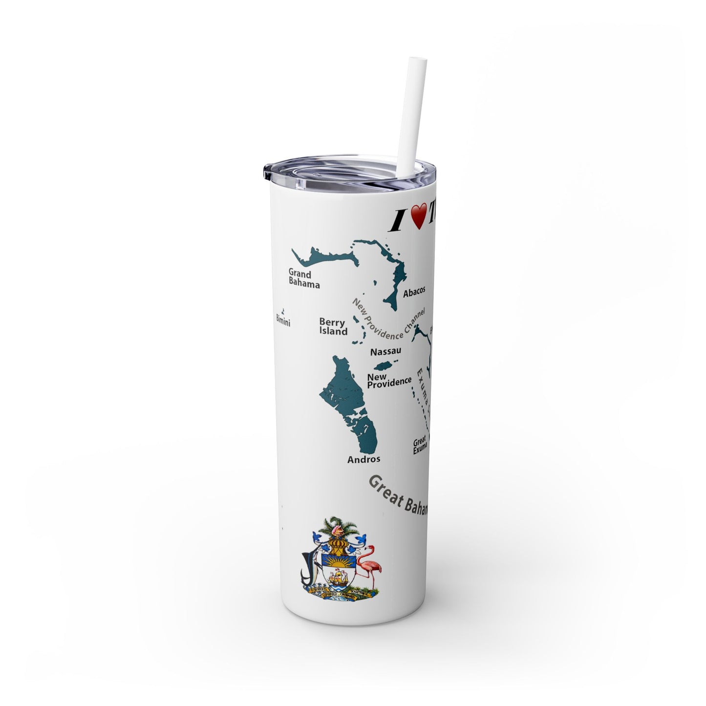 Skinny Tumbler with Straw, 20oz