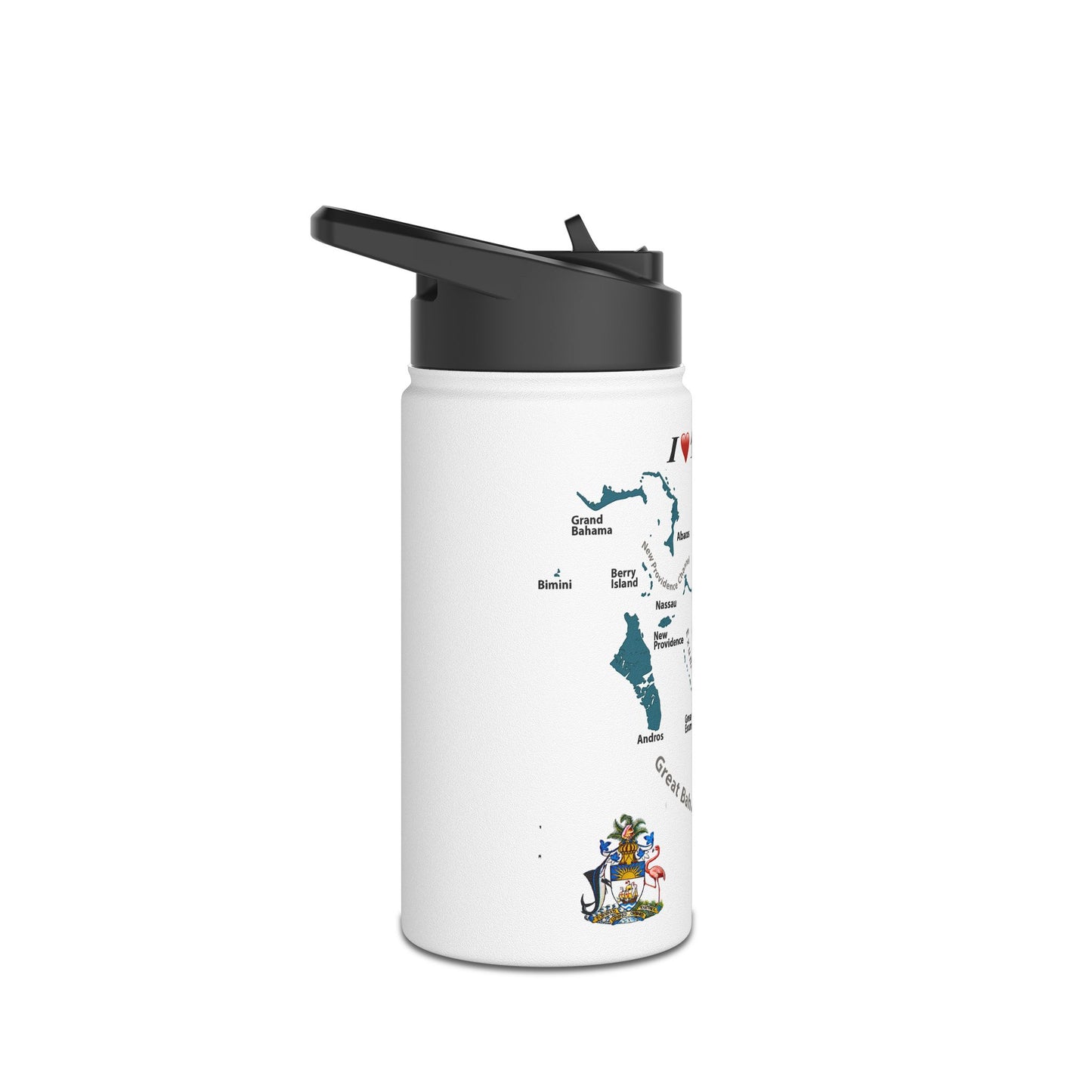 Stainless Steel Water Bottle, Standard Lid