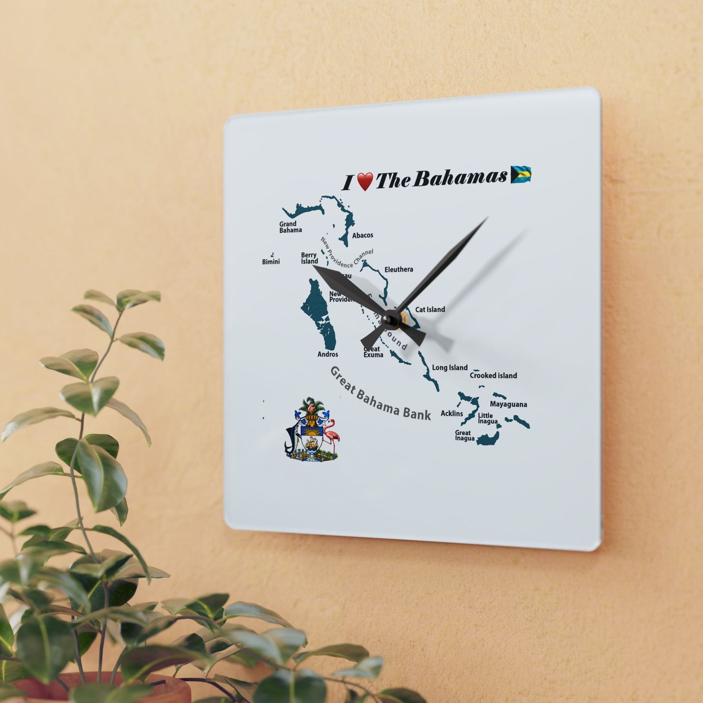 Acrylic Wall Clock
