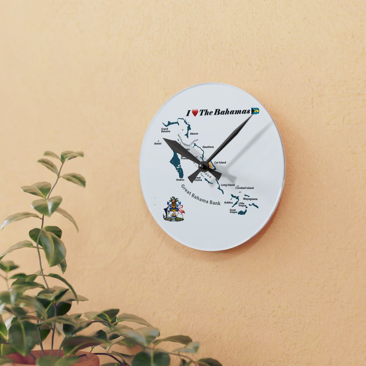Acrylic Wall Clock