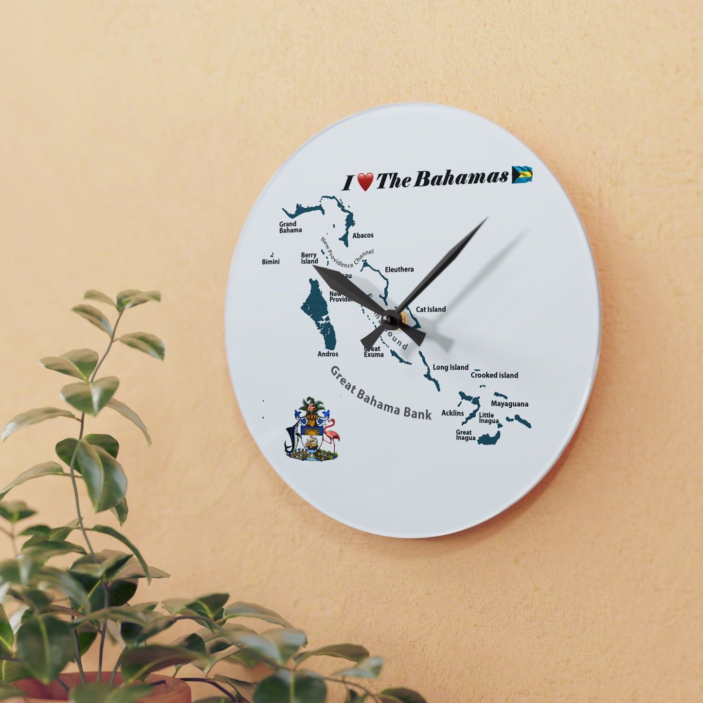 Acrylic Wall Clock